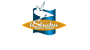 Ushaka Marine World Logo